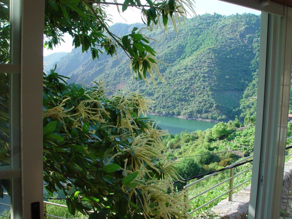 Olar De Rabacallos المظهر الخارجي الصورة